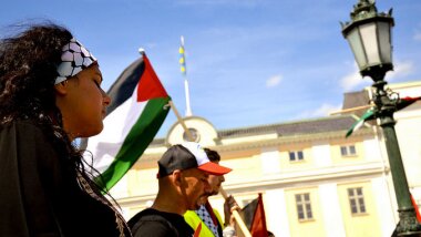 Comisión Chilena Pro-Derechos Juveniles rechaza acontecimientos en Franja de Gaza